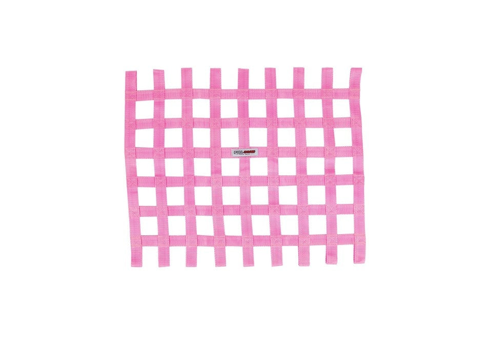 FULL BORE Race Gear SFI 27.1 Net (Bubblegum Pink)