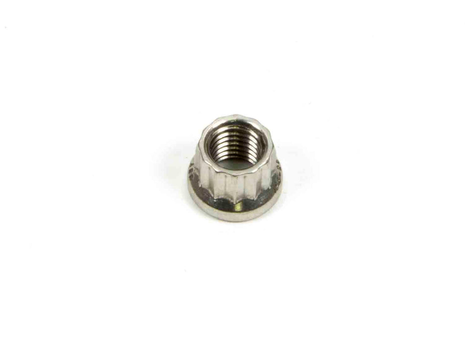 ARP S/S 12pt. Nut - 1/4-28 (1)
