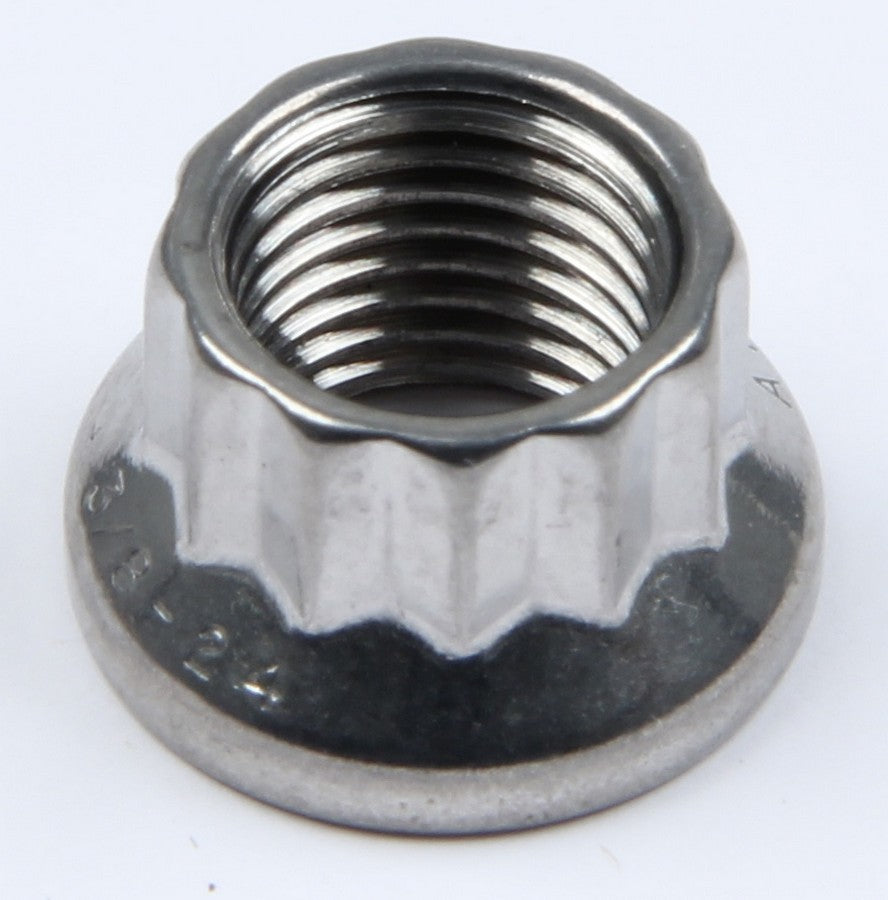 ARP S/S 12pt. Nut - 3/8-24 (1)