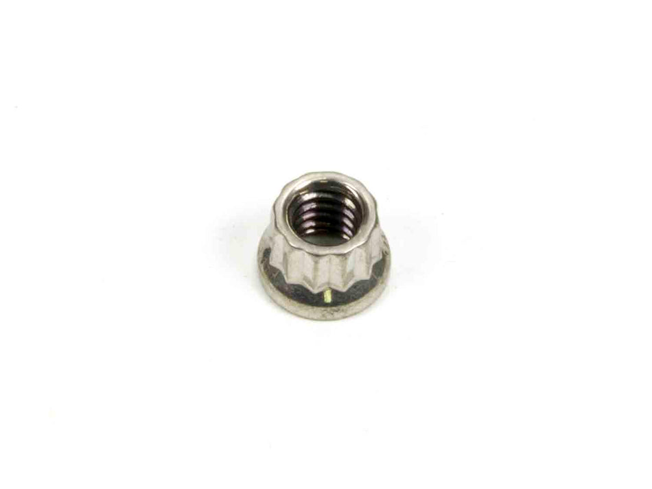 ARP S/S 12pt. Nut - 1/4-20 (1)