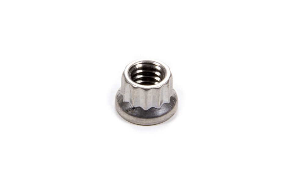 ARP S/S 12pt. Nut - 5/16-18 (1)